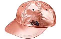Supreme SS18 The North Face Metallic 6-Panel