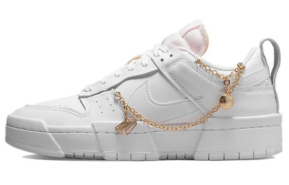 Nike Dunk Disrupt