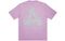 Arcteryx x PALACE PLACE ARC'TERYX Logo T