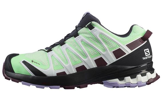 SALOMON XA Pro 3D V8 Gtx