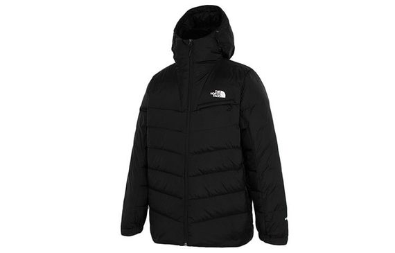 THE NORTH FACE Logo 550