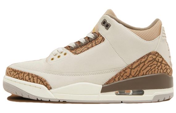 Jordan Air Jordan 3 &quot;Orewood Brown&quot;