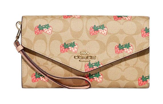 COACH Envelope 21