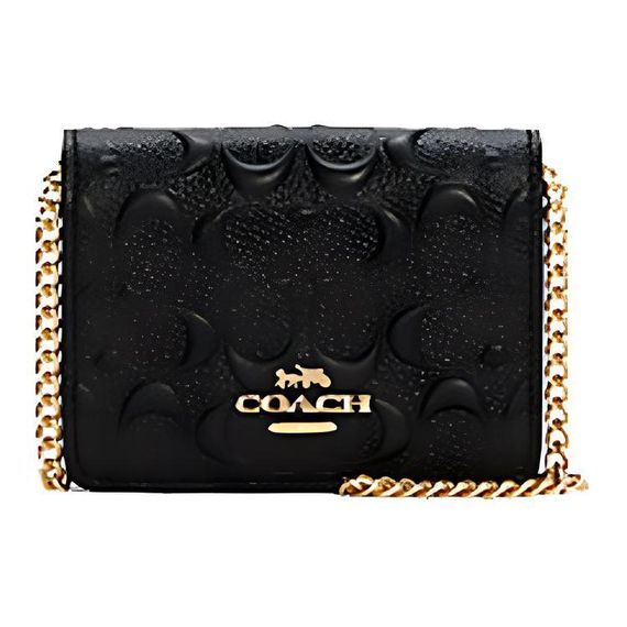 COACH Chain 10