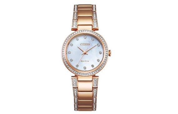 CITIZEN EM0843-51D