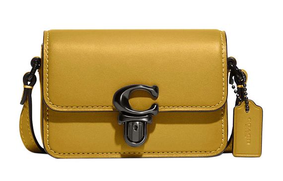 COACH Studio 12