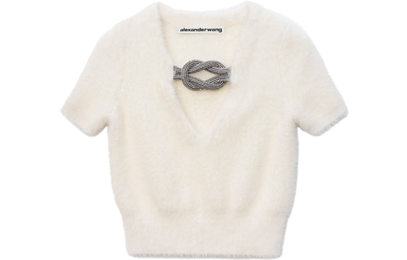 Alexander wang FW21 T