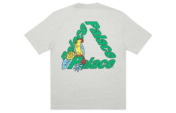 PALACE Parrot PALACE-3 T