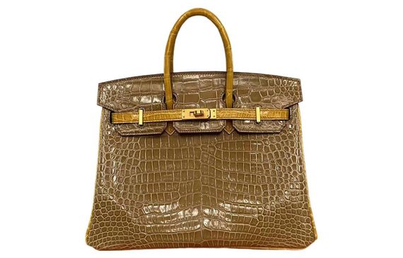 HERMES Birkin 25 V #VIP #