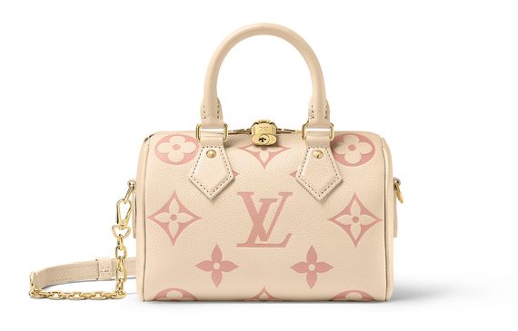 LOUIS VUITTON Speedy 20 /