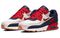 Nike Air Max 90 PRM