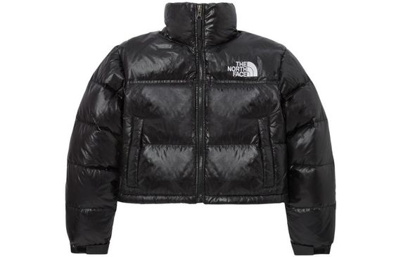 /THE NORTH FACE Logo