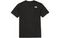 THE NORTH FACE Cotton Basic S/s R/tee SS22T 2