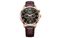 CITIZEN AP1059-19E