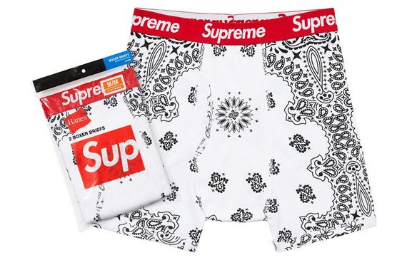 Supreme FW22 Week 1 x Hanes Boxer Briefs 1 2
