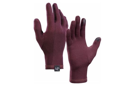 Arcteryx Gothic Glove