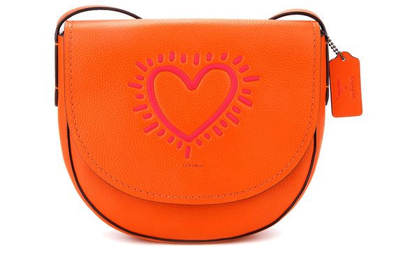 COACH X Keith Haring Hudson