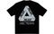 Arcteryx x PALACE PLACE ARC'TERYX Logo T