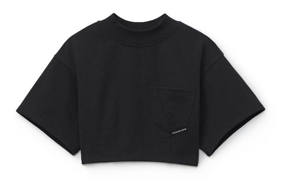 Alexander wang SS21 T
