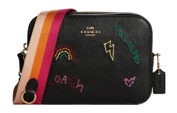 COACH X Diary Embroidery Camera 18