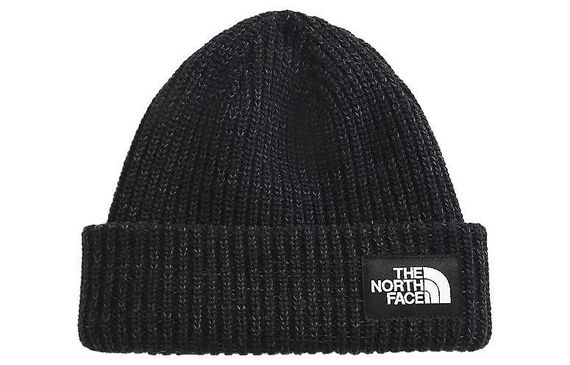 THE NORTH FACE FW21 Salty Dog Beanie 3FJW JK3