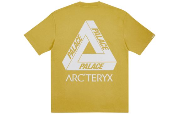 Arcteryx x PALACE PLACE ARC'TERYX Logo T