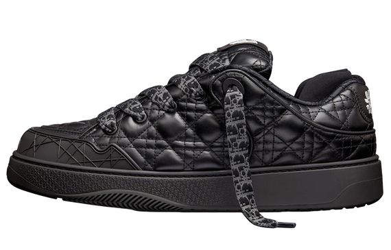 ERL x DIOR B9S
