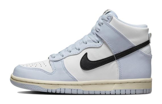 Nike Dunk Aluminum