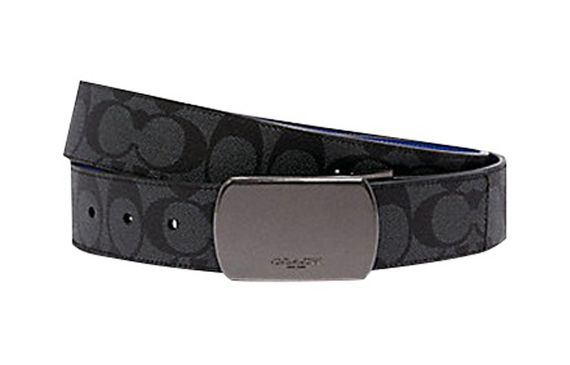 COACH 3.8cm