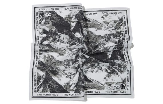 THE NORTH FACE