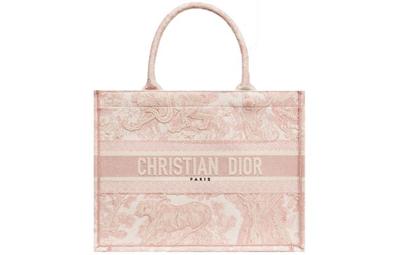 DIOR BookTote / # #
