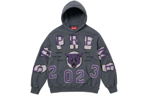 Supreme FW23 WEEK5 WASHED PANTHER HOODED SWEATSHIRT