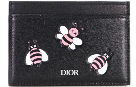 DIOR x Kaws Logo