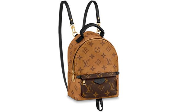 LOUIS VUITTON Palm Springs /