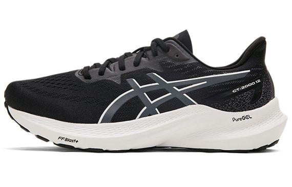 Asics GT-2000 12 2E