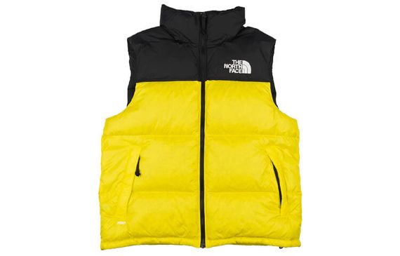 THE NORTH FACE 1996 Retro Nuptse 700