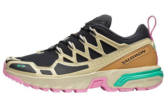 SALOMON ACS +