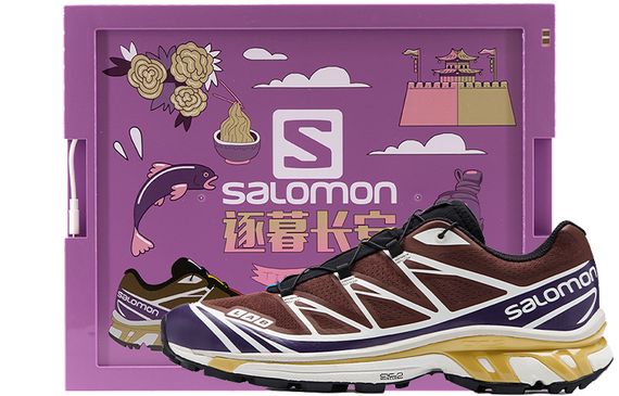Salomon XT-6