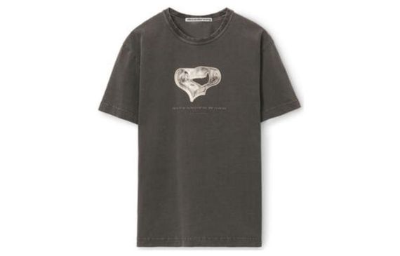 Alexander wang T