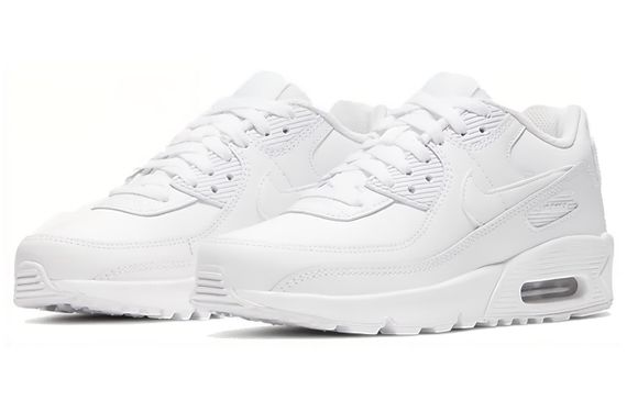 Nike Air Max 90 LTR