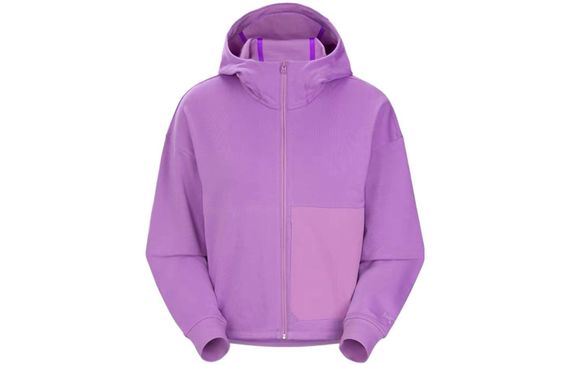 Arcteryx MOMENTA HOODY Logo