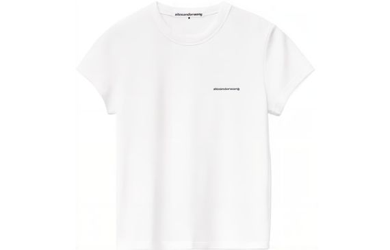 Alexander wang FW22 T