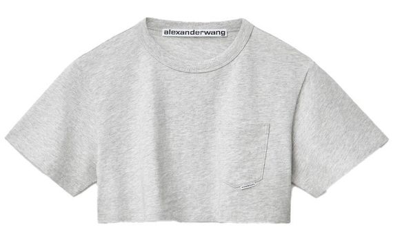 Alexander wang T