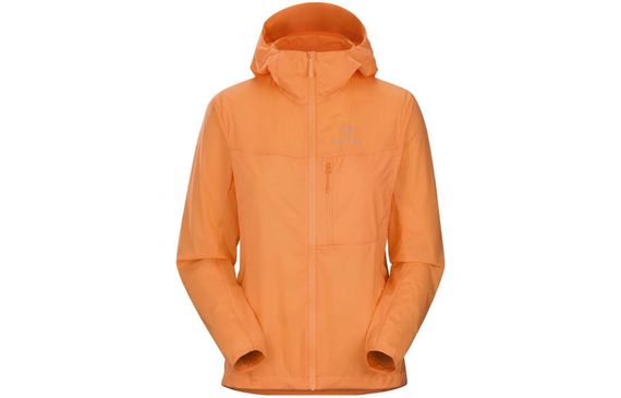 Arcteryx Arcteryx Squamish Squamish Hoody