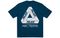 Arcteryx x PALACE PLACE ARC'TERYX Logo T