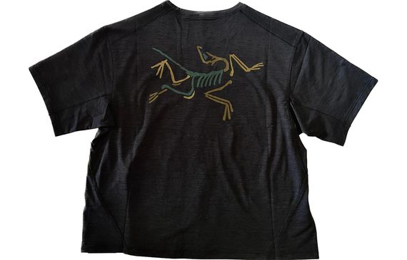 Arcteryx Taema taema crop arc’logo Logo T