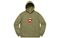 Supreme FW19 Week 1 Cone Hooded Sweatshirt