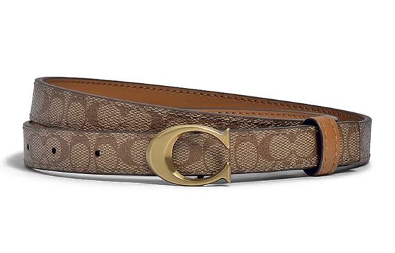 COACH 2cm