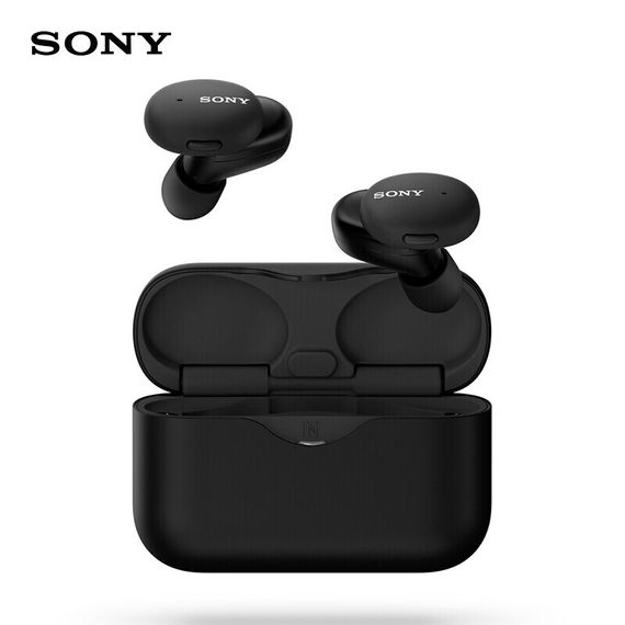 SONY WF-H800