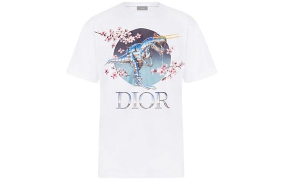DIOR DIOR T